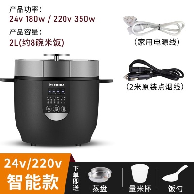 2L容量24V220V车家两用智能款