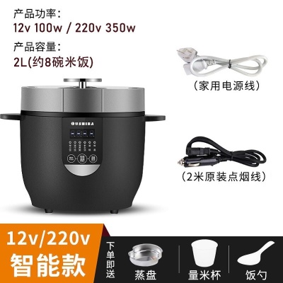 2L容量12V220V车家两用智能款