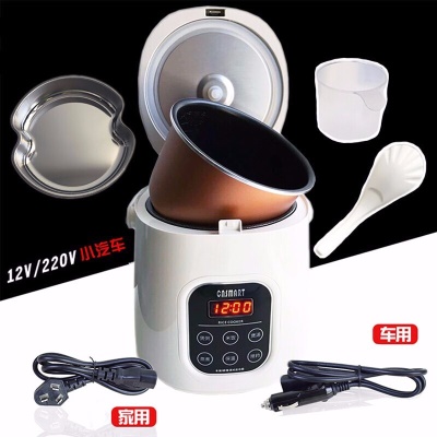 2升-12V220V轿车家庭两用