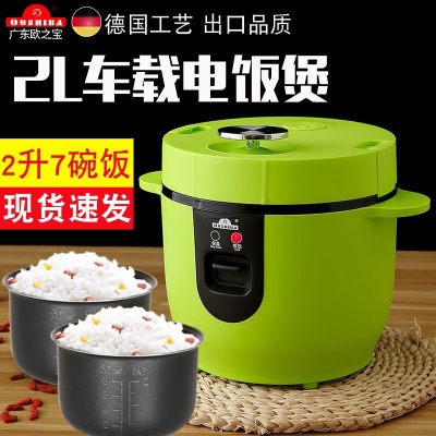 24v2L新专用双内胆果绿色