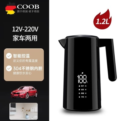 智能款【12V 220V】车家两用版