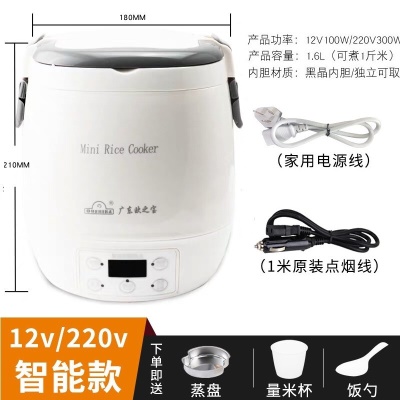 1.6L容量12V/220V车家两用智能款