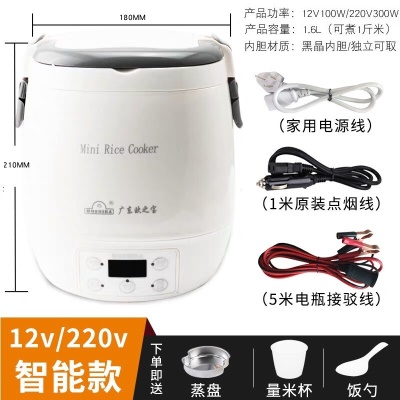 1.6L容量12V/220V车家两用+5米电瓶线