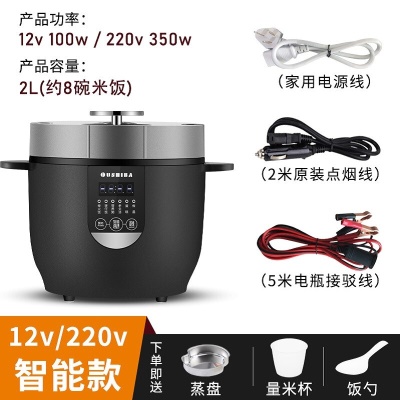 2L容量12V220V车家两用智能款+5米电瓶线
